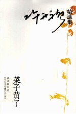许开祯精选集 菜子黄了