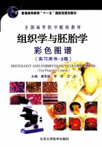 组织学与胚胎学彩色图谱 实习用书