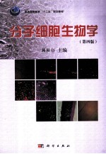 分子细胞生物学