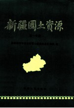 新疆国土资源 第1分册