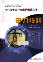 电气设备运行及维护保养丛书 电力线路