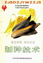 杂交水稻 杂交玉米制种技术