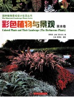 彩色植物景观 草本卷