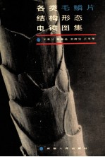 各类毛鳞片结构形态电镜图集