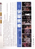 音乐剧表演概论 上
