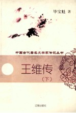 王维传 下