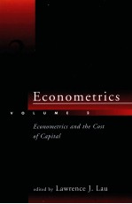 ECONOMETRICS VOLUME 2:ECONOMETRICS AND THE COST OF CAPITAL:ESSAYS IN HONOR OF DALE W.JORGENSON