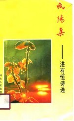 向阳集 湛有恒诗选