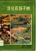 活化石扬子鳄