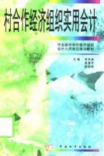 村合作经济组织实用会计