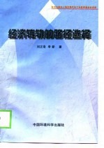 经济转轨的路径选择