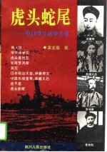 虎头蛇尾 中日甲午战争实录
