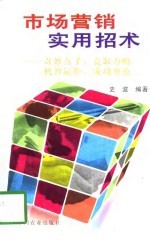 市场营销实用招术-奇妙点子、竞取方略、机智运作、成功典范