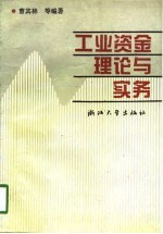 工业资金理论与实务