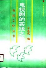 电视剧的实践之路