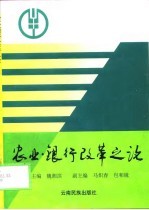 农业银行改革之论