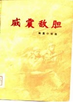 威震敌胆-短篇小说选