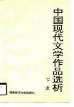中国现代文学作品选析 下
