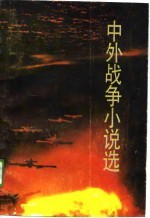 中外战争小说选 下