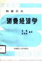 社会主义消费经济学