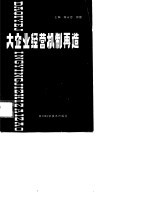 大企业经营机制再造