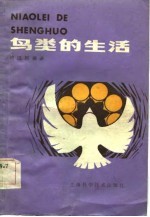 鸟类的生活