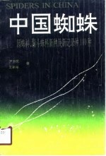 中国蜘蛛 园蛛科、漏斗蛛科新种及新记录种100种 蛛形纲：蜘蛛目