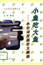 小鱼吃大鱼 小公司发展壮大的秘诀