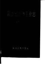 湖北省石油工业志