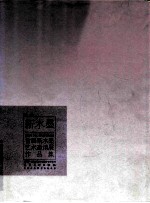 新水墨 首届新水墨艺术邀请展作品集
