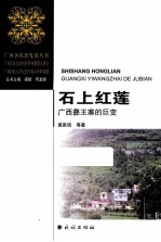 石上红莲 广西彝王寨的巨变