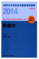 2014全国卫生专业技术资格考试指导 疼痛学