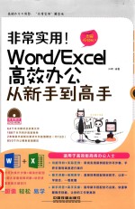 非常实用!Word/Excel高效办公从新手到高手 图解视频版