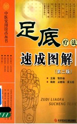足底疗法速成图解 第2版