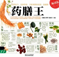 药膳王 畅销版