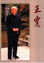 王震 摄影集
