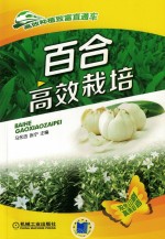 百合高效栽培