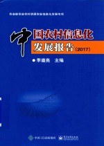 中国农村信息化发展报告 2017