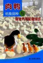 肉鸭优良品种与高效养殖配套技术