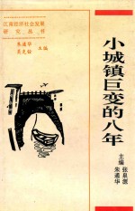 小城镇巨变的八年
