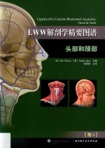 LWW解剖学精要图谱 头部和颈部