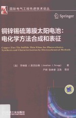 铜锌锡硫薄膜太阳电池 电化学方法合成和表征