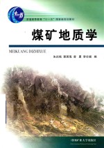 教育部“十一五” 煤矿地质学