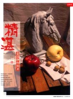 精湛素描静物照片 精编版