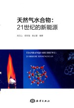 天然气水合物 21世纪的新能源