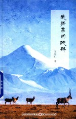 藏羚羊的跪拜