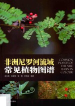 非洲尼罗河流域常见植物图谱