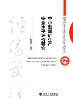 中小型煤矿生产安全水平评价研究