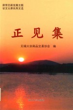 正见集 新常态新发展主题征文比赛优秀文选