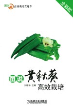 图说黄秋葵高效栽培 全彩版